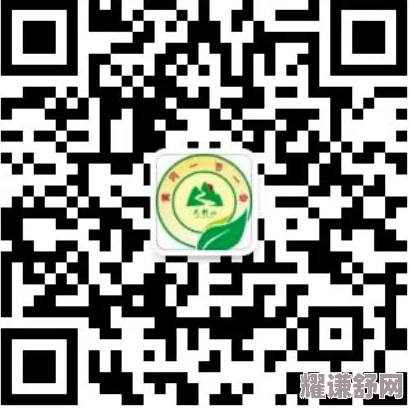 国外黄冈网站推广二维码图片的设计与应用研究：提升品牌知名度与用户互动效果的实证分析